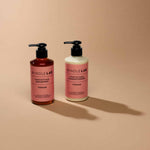 Your Guide to Summer Hair Care with Windle LAB