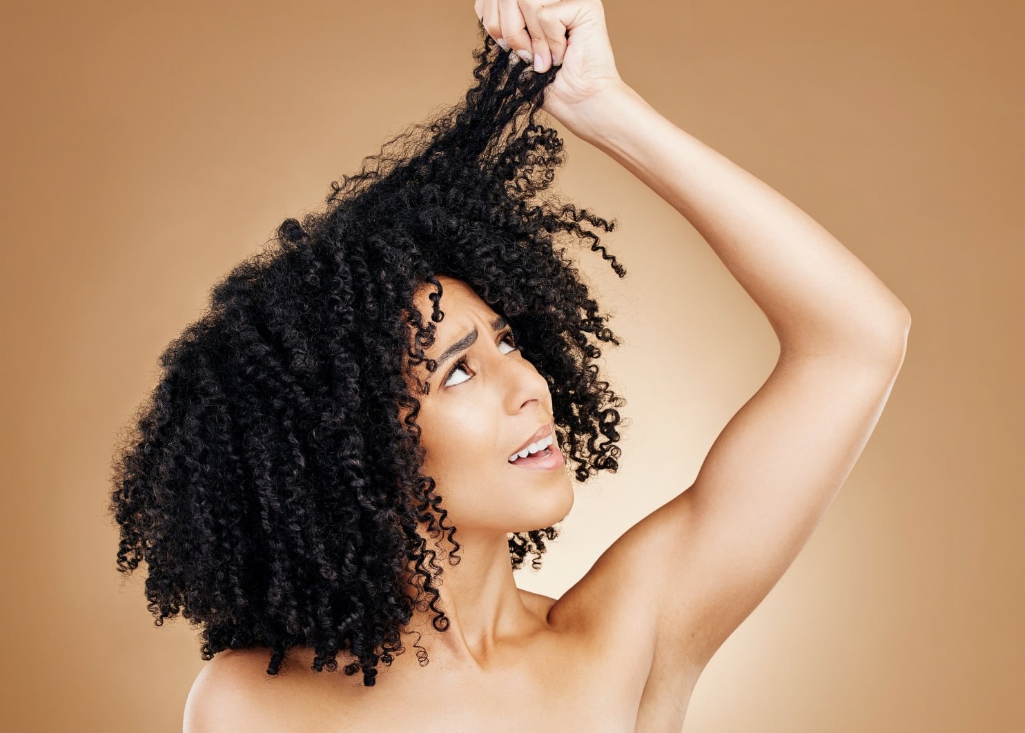 WINDLE GRAPHICS - 13