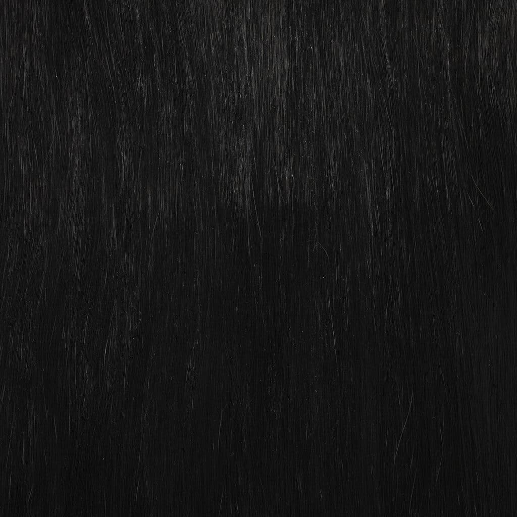 Speed Fringe