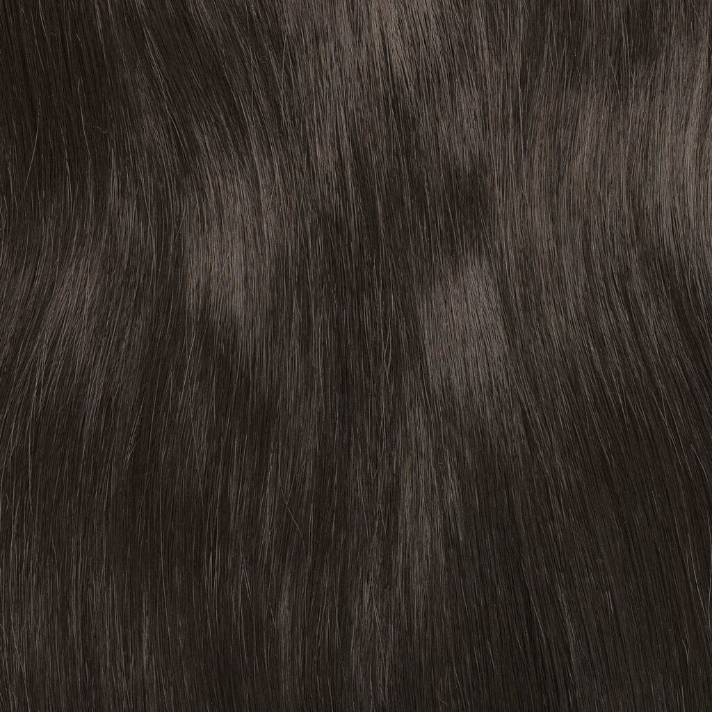 Speed Fringe